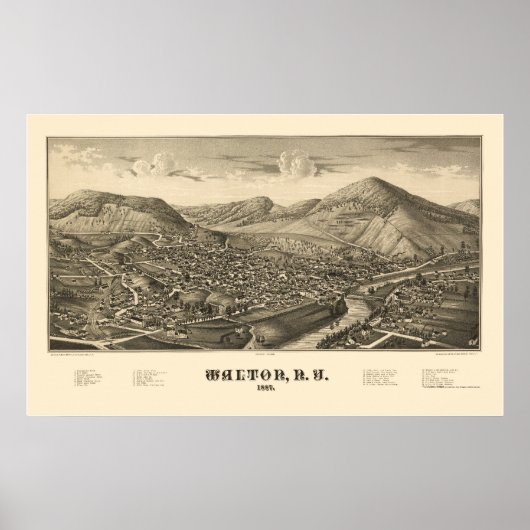 Walton, NY Panoramic Map - 1887 Poster (Voorkant)