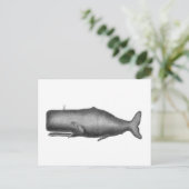 walvis briefkaart (Staand voorkant)