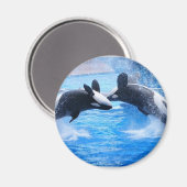 Walvis fotomagneet magneet (Voorkant / Achterkant)
