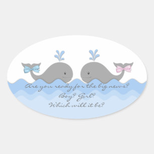 Walvis Geslacht Onthulling Stickers