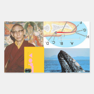 Walvis in de spijker rechthoekige sticker