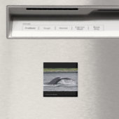 walvis magneet (Insitu (Vaatwasser))