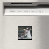 walvis magneet (Insitu (Vaatwasser))