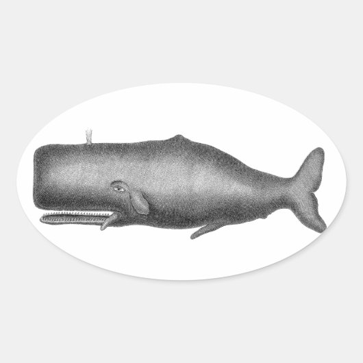  walvis ovale sticker (Voorkant)