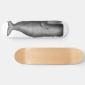  walvis skateboard (Horizontaal)