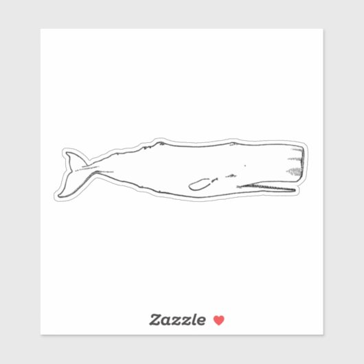  walvis sticker (Vel)