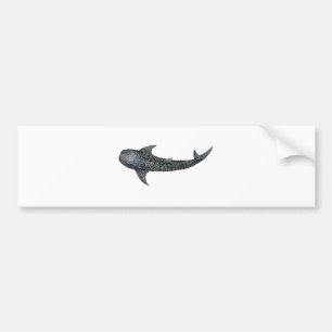 Walvishaai Bumpersticker