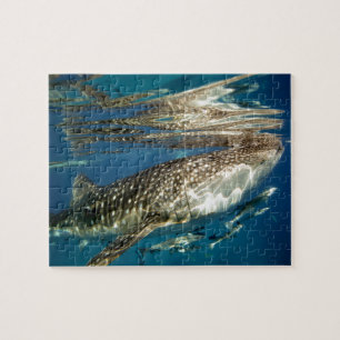 Walvishaai en reuzenvis legpuzzel