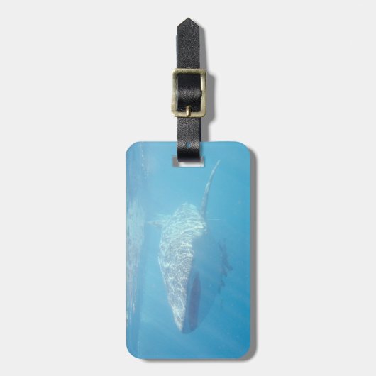 Walvishaai Onderwater Sluiten Bagagelabel (Voorkant verticaal)