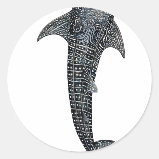 Walvishaai Ronde Sticker (Voorkant)