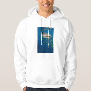 Walvishaak met vissen, Indonesië Hoodie