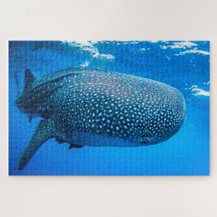 Walvishaakjespuzzel Legpuzzel