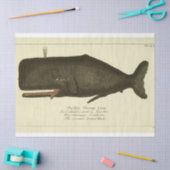 walvisscript Ephemera Decoupage Nautical Tissuepapier (Craft)