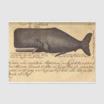  walvisscript Ephemera Decoupage Nautical