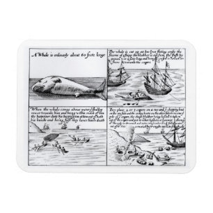 Walvissen op Spitzbergen in 1611 (graven) (b/w per Magneet