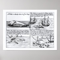 Walvissen op Spitzbergen in 1611 (graven) (b/w per