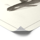 walvissen - Poster van de Orca of de Killer walvi (Hoek)