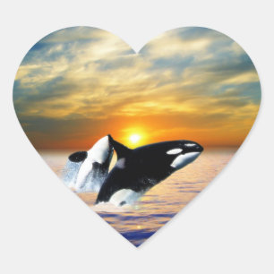 Walvissen tegen zonsondergang hart sticker