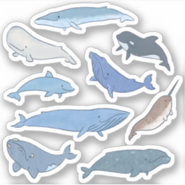 Walvissen van de wereld sticker