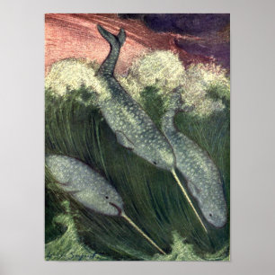  walvissen, zeedieren poster
