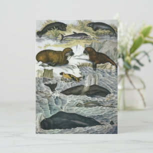 Walvissen, zeehonden en walrussen, antieke mariene kaart