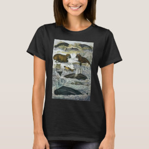 Walvissen, zeehonden en walrussen, oude mariene di t-shirt