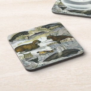 Walvissen, zeehonden en walrussen, vintage zeezoog bier onderzetter