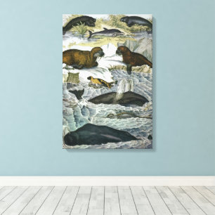 Walvissen, zeehonden en walrussen, vintage zeezoog canvas afdruk