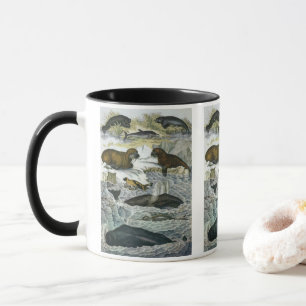 Walvissen, zeehonden en walrussen, vintage zeezoog mok