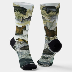 Walvissen, zeehonden en walrussen, vintage zeezoog sokken