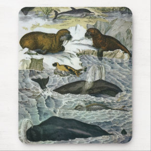 walvissen, zeehonden en walrussen, zeedieren muismat