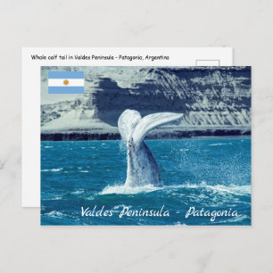 Walvisstaart - Argentinië Briefkaart