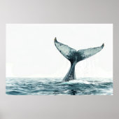 Walvisstaart uit de oceaan poster (Voorkant)