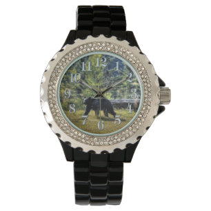 Walzwart Beer en bosweide Wildlife Foto Horloge