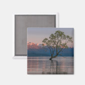 Wanaka Tree, Magnet de Nouvelle-Zélande (Recto/Verso)