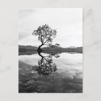 Wanaka Tree New Zealand Landscape Photography Briefkaart