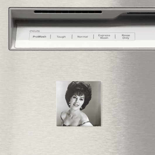 Wanda Magnet Magneet (Insitu (Vaatwasser))