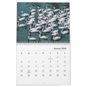 Wandagenda voor swans kalender (Jan 2026)