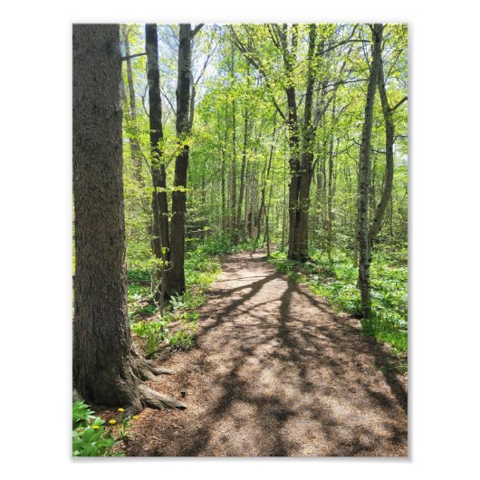 Wandarm Foto Afdruk (Voorkant)