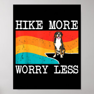 Wandel meer, maak je minder zorgen, grote Zwitsers Poster