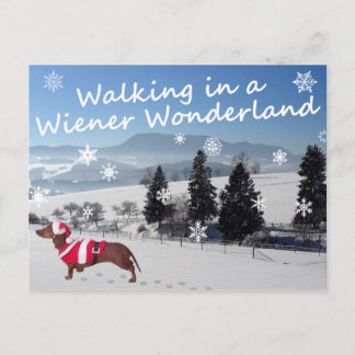 Wandelend in een Wiener Wonderland Briefkaart