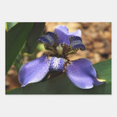 Wandelend irisverpakkingspapier inpakpapier vel (Voorkant 2)