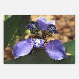 Wandelend irisverpakkingspapier inpakpapier vel