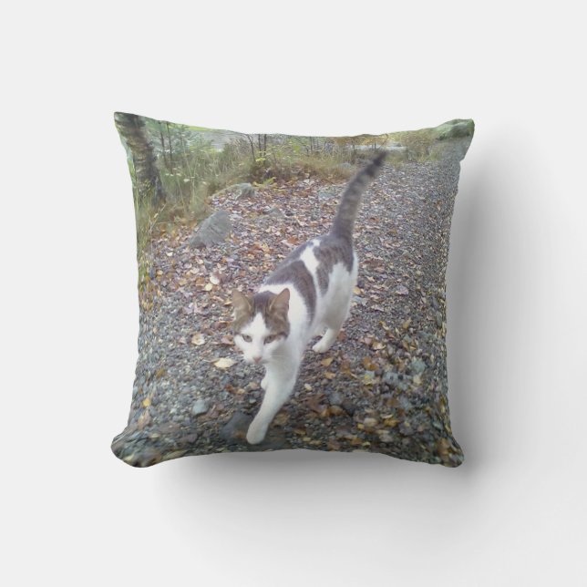 Wandelende Kat Kussen (Voorkant)