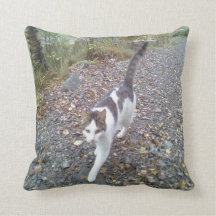 Wandelende Kat