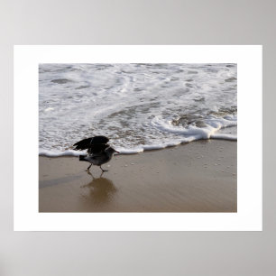 Wandeling door de golven Californië Kleurenfotogra Poster