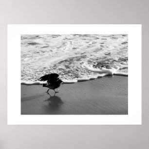 Wandeling door de golven Californië Kleurenfotogra Poster