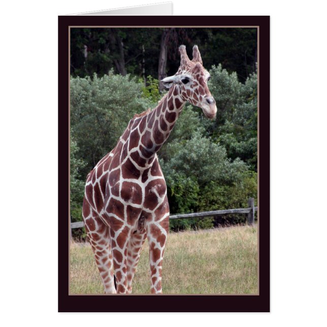 wandelingetje (Voorkant)