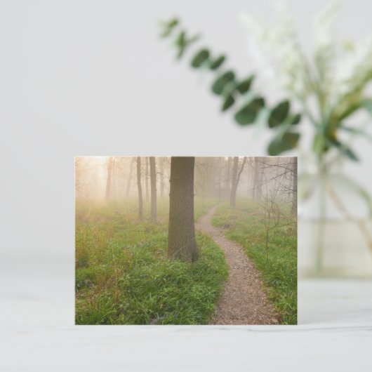 Wandelpad dat leidt naar een briefkaart (Staand voorkant)