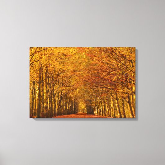 Wandelpad door herfst bos canvas (Voorkant)